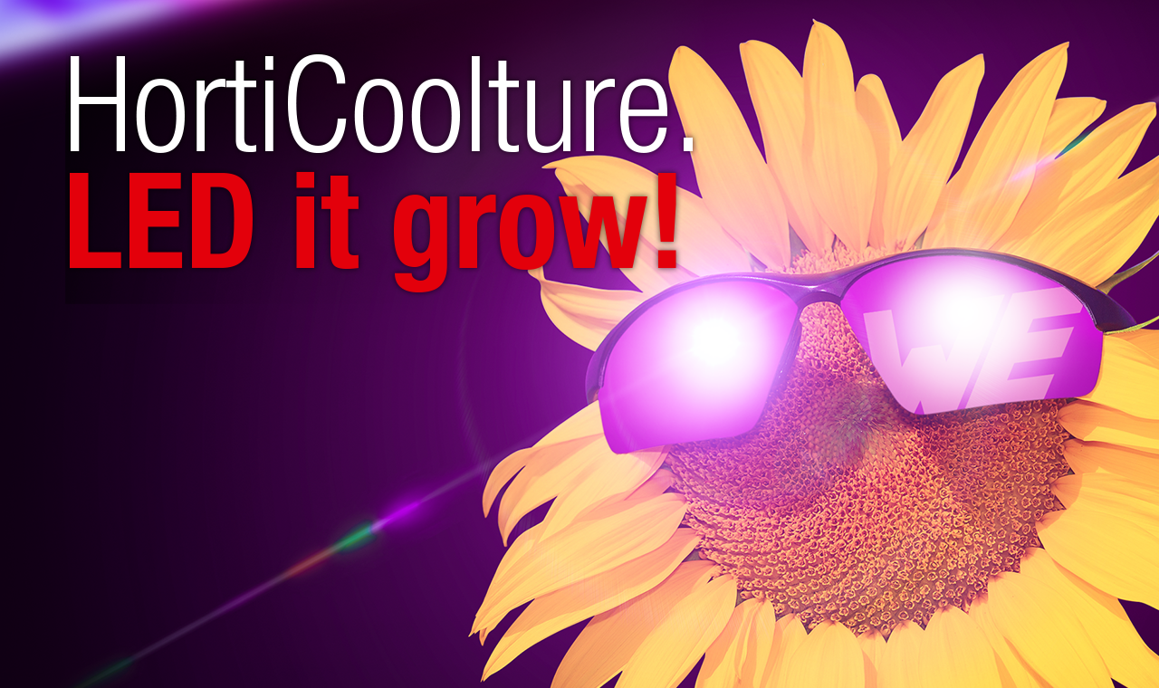 Horticulture_Youtube_1280x760 Horticulture_Youtube_1280x760